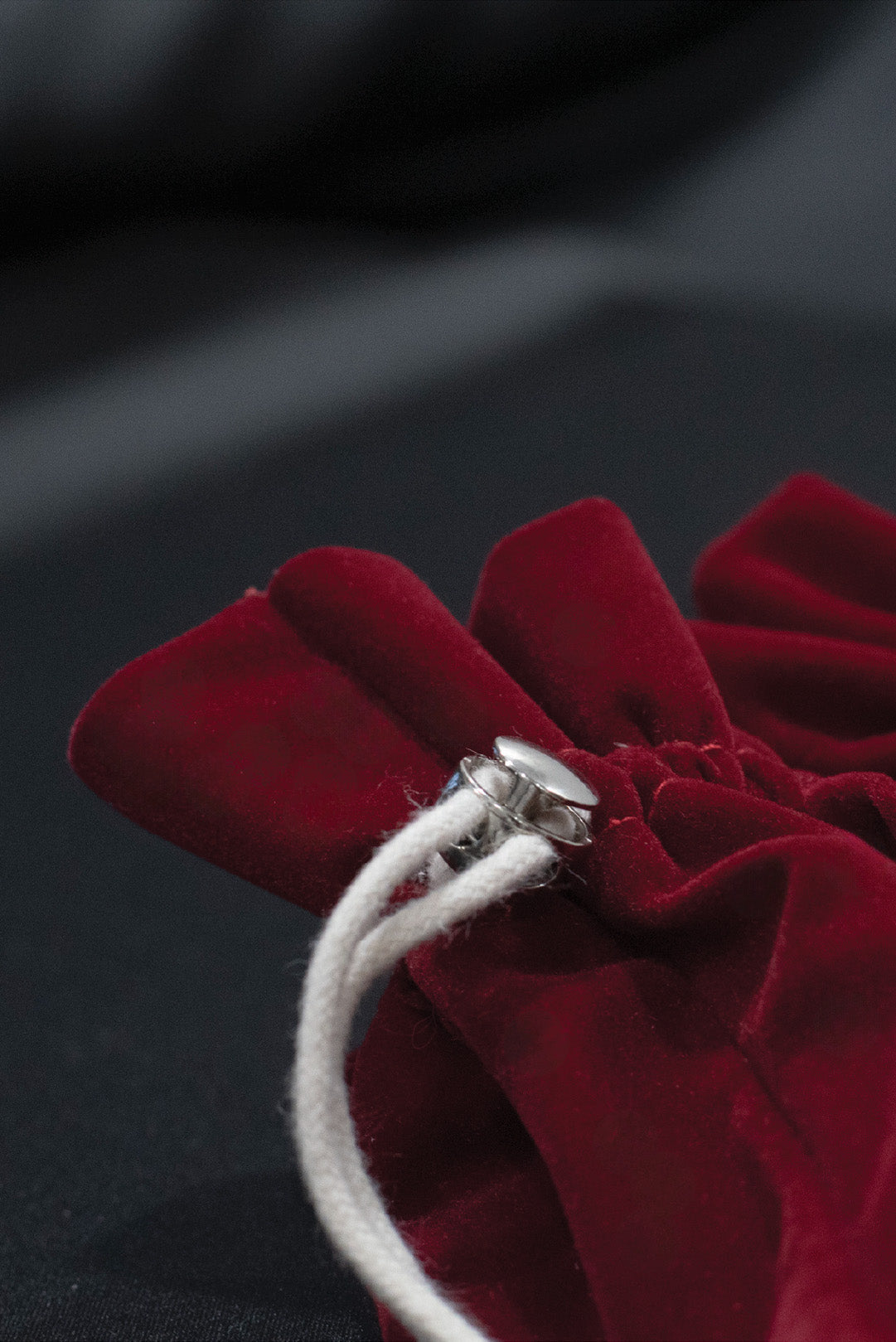 SIGNATURE DUST BAG
